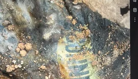 Polícia investiga corpo com referência a “Harry Potter” achado em Milagres