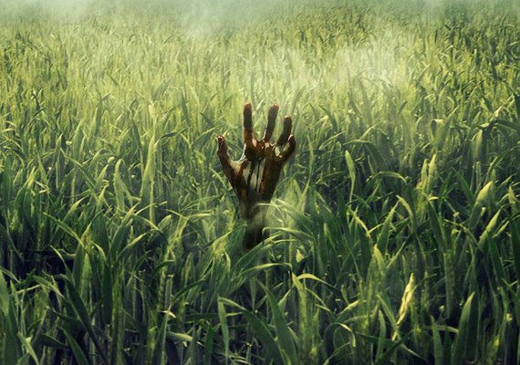 Netflix adaptará mais uma obra de Stephen King