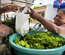 Agricultura familiar encerra circuito de feiras com geração de renda e fortalecimento do cooperativismo