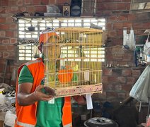 Mais de 40 animais são resgatados de cativeiro irregular no interior de Alagoas