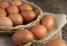 Ovos: mercado deve começar a apresentar maior dinamismo no comércio varejista