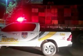 Caminhão transportava 1.300 frangos de forma irregular