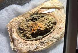 Sepultura viking revela vestuário preservado de jovem há 1.300 anos na Dinamarca