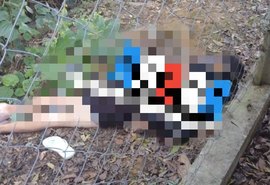 Corpo de homem com marcas de tiros na cabeça é encontrado na Santa Amélia
