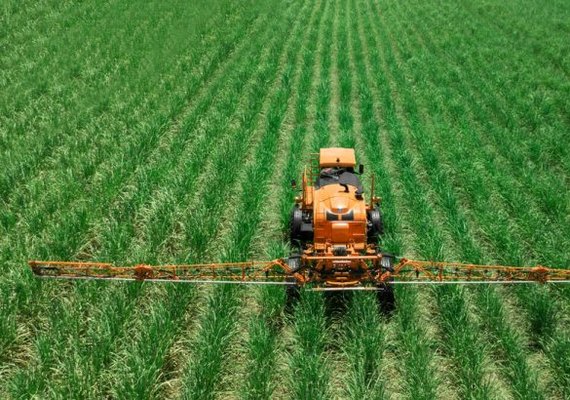 Acordo entre Mercosul e União Europeia pode favorecer agronegócio