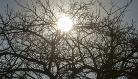 Ar seco predomina no interior de Alagoas até domingo, alerta Semarh