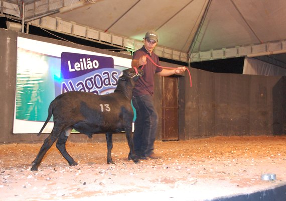 Leilão Alagoas 2019 abre pré-lance