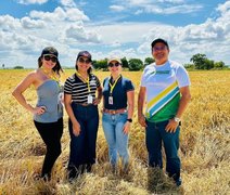 Cooperativa transforma a rizicultura familiar no Baixo São Francisco