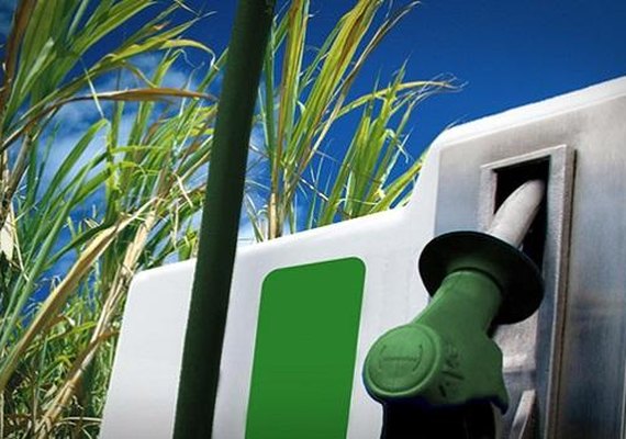 Sindicatos se reúnem com ministra da Agricultura