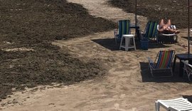 IMA/AL volta a notificar prefeitura de Maceió para retirar sargaço da praia