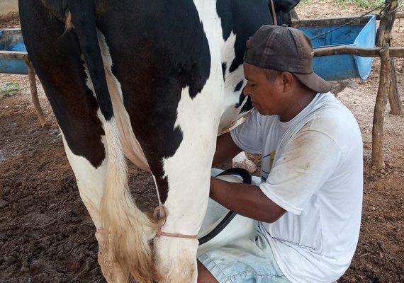 CPLA reforça assistência técnica no campo