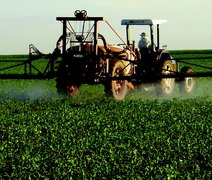 Brasil lidera uso de agrotóxicos; veja como evitar excessos