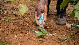 Alta dos fertilizantes ameaça produção agrícola do Brasil em 2027