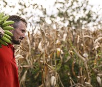 Câmara aprova uso de recursos do FGO em operações do Pronaf