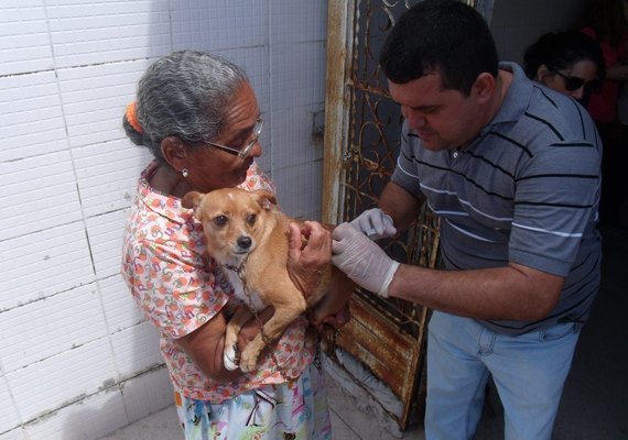 Campanha de vacinação antirrábica começa dia 24