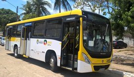Nova linha alimentadora começa a operar em Cruz das Almas a partir de segunda-feira