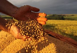 Governo reduz alíquotas de importação de insumos para produção agrícola