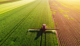 Tecnologia permite cultivo de lavouras no deserto economizando até 80% de água