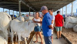 72ª Expoagro Alagoas encanta público com as novidades desta edição