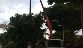 Iluminação pública: orla marítima de Maceió recebe manutenção