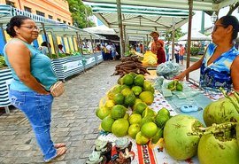 3ª Feira Municipal da Agricultura Familiar de Viçosa acontece nesta sexta (30)