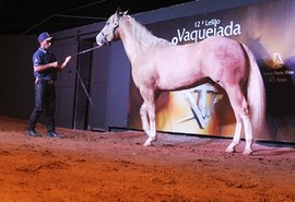 13ª Vaquejada e Trabalho aposta em facilidades de comércio