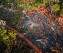 Aprovada proposta que permite derrubada de mata nativa para obras de irrigação no campo