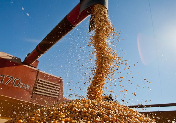 Brasil pode bater recorde de safra com 354,8 milhões de toneladas de grãos