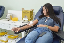 Arapiraca e União dos Palmares recebem equipes itinerantes do Hemoal para coleta de sangue nesta terça-feira (15)