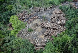 Comissão debate novo modelo de desenvolvimento para Amazônia