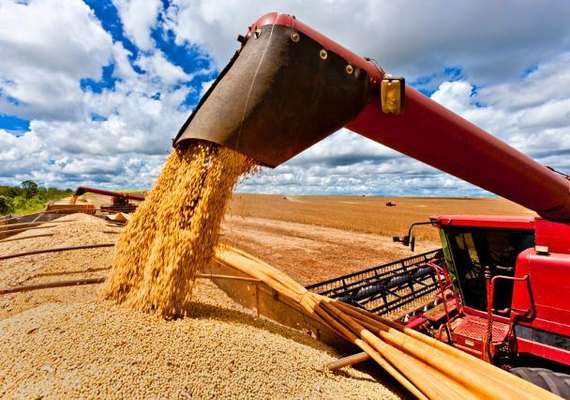 Seminário de Grãos terá 12 palestras técnicas