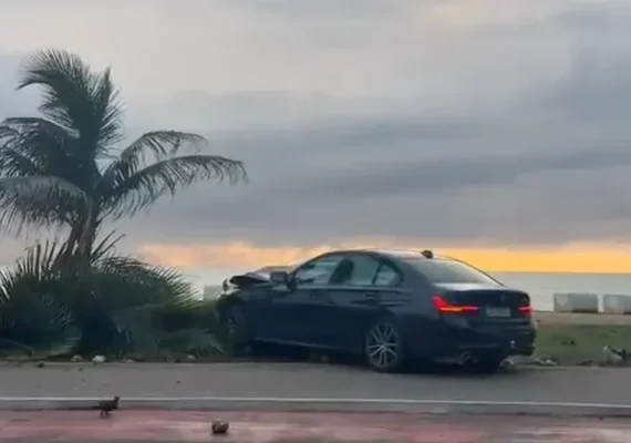 Motorista invade calçada e derruba coqueiro na orla de Maceió