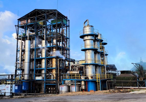 Cooperativa Pindorama abre a safra 26/27 em Alagoas