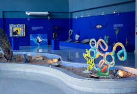 Exposição 'Barbara' chega aos seus últimos dias no Complexo Cultural Teatro Deodoro