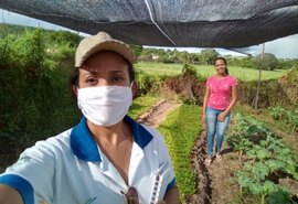 Senar orienta olerícolas de AL com ações preventivas contra pragas