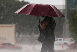 Inmet emite alerta de chuvas intensas para Alagoas; confira os municípios