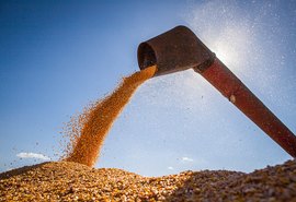 Campo Futuro levanta custos de produção de quatro cadeias produtivas