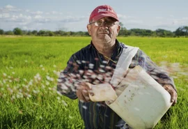 Cooperativas fortalecem o acesso ao seguro rural no Brasil