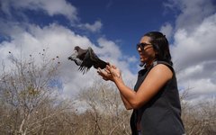 Fiscalização Preventiva Integrada realizou sua primeira soltura de 180 aves