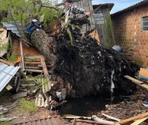Temporal deixa quatro mortos e mais de 527 mil afetados no RS