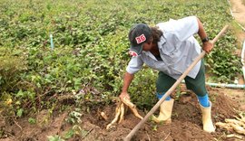 Alimentos da agricultura local serão apresentados em feira internacional