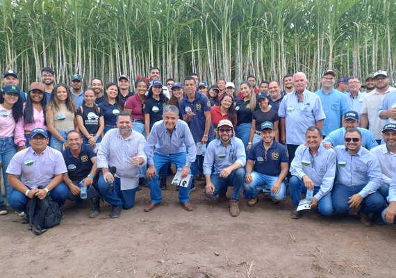 Estudantes de agronomia do CECA/UFAL participam de dia de campo realizado pelo PMGCA na Usina Coruripe