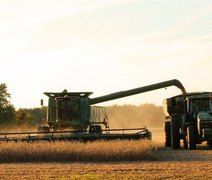 Com atraso no plantio, preços da soja disparam no Brasil