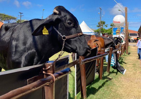 Expoagro 2021 fatura R$ 20 milhões e bate recorde