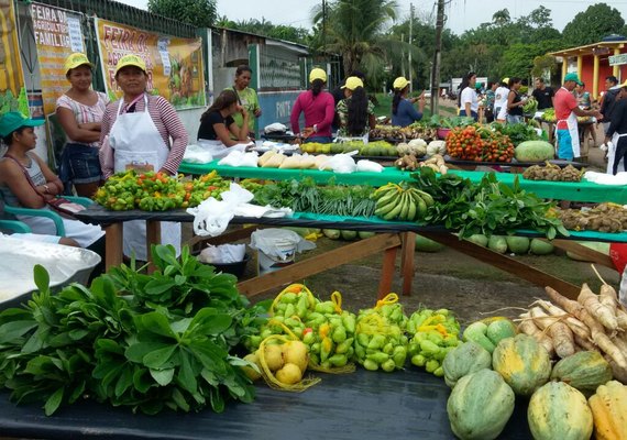 Fetag/AL vai realizar 1ª Feira da Agricultura em Maceió