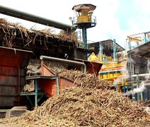 Usinas contabilizam mais de 9,5 milhões de toneladas de cana processadas em Alagoas
