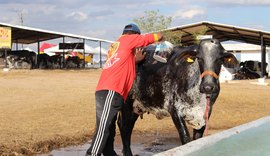 37ª Expobacia Leiteira vai reunir mais de mil animais no interior do estado