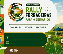 Projeto leva novas tecnologias para alimentação do gado em Alagoas