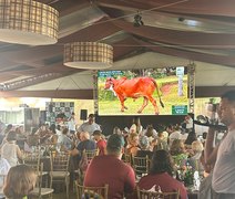 Leilão Mais Leite valoriza genética gir e girolando e faz média animal de quase R$17mil