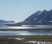 Tesouro de 5 mil moedas vikings é descoberto na Noruega e novas peças